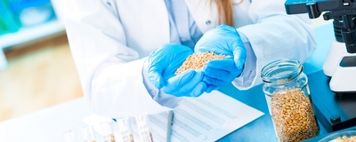 Product Development